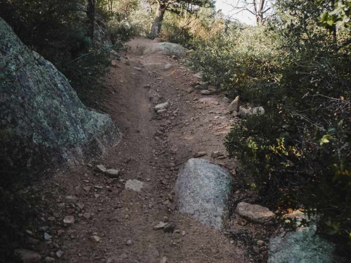 Trail 2 photo 4
