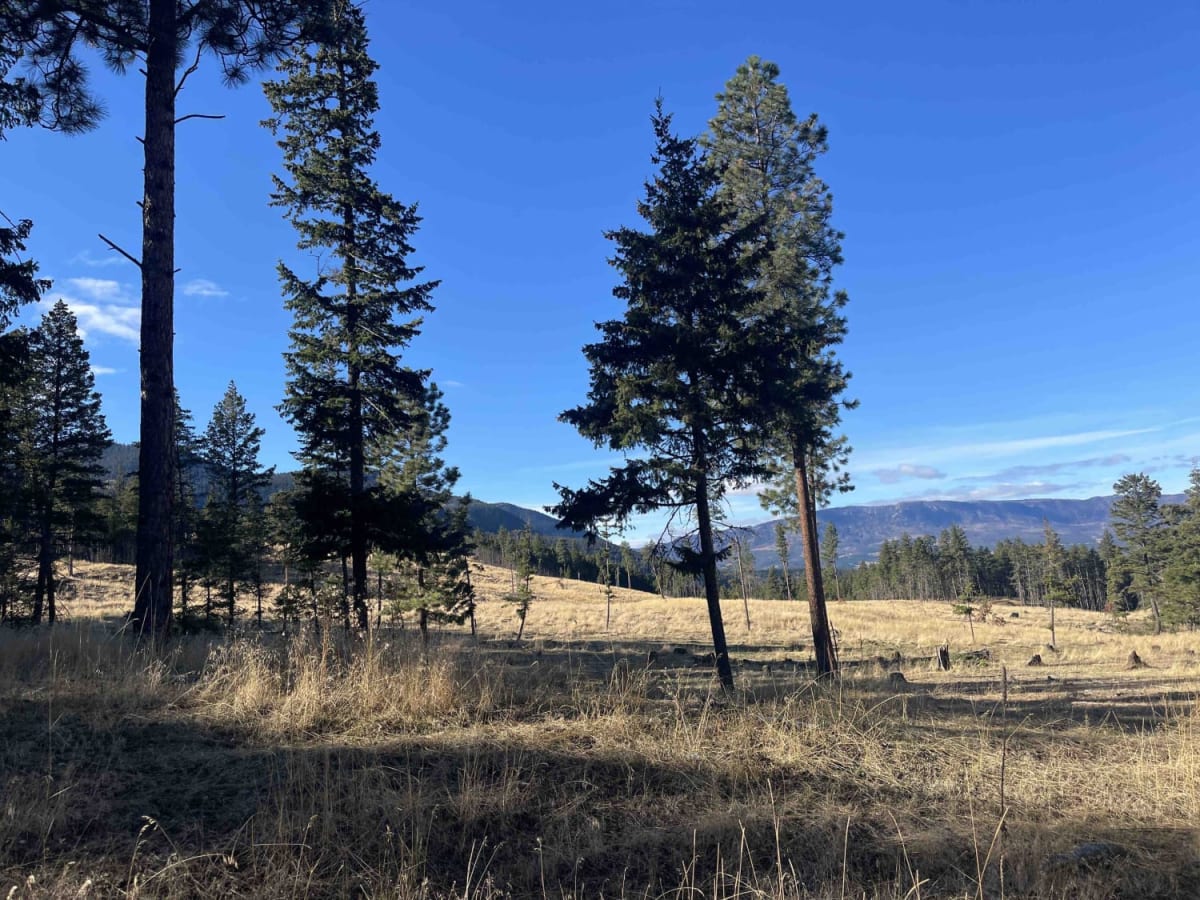 Pinaus Lake to Tuktakamin Lookout photo 4