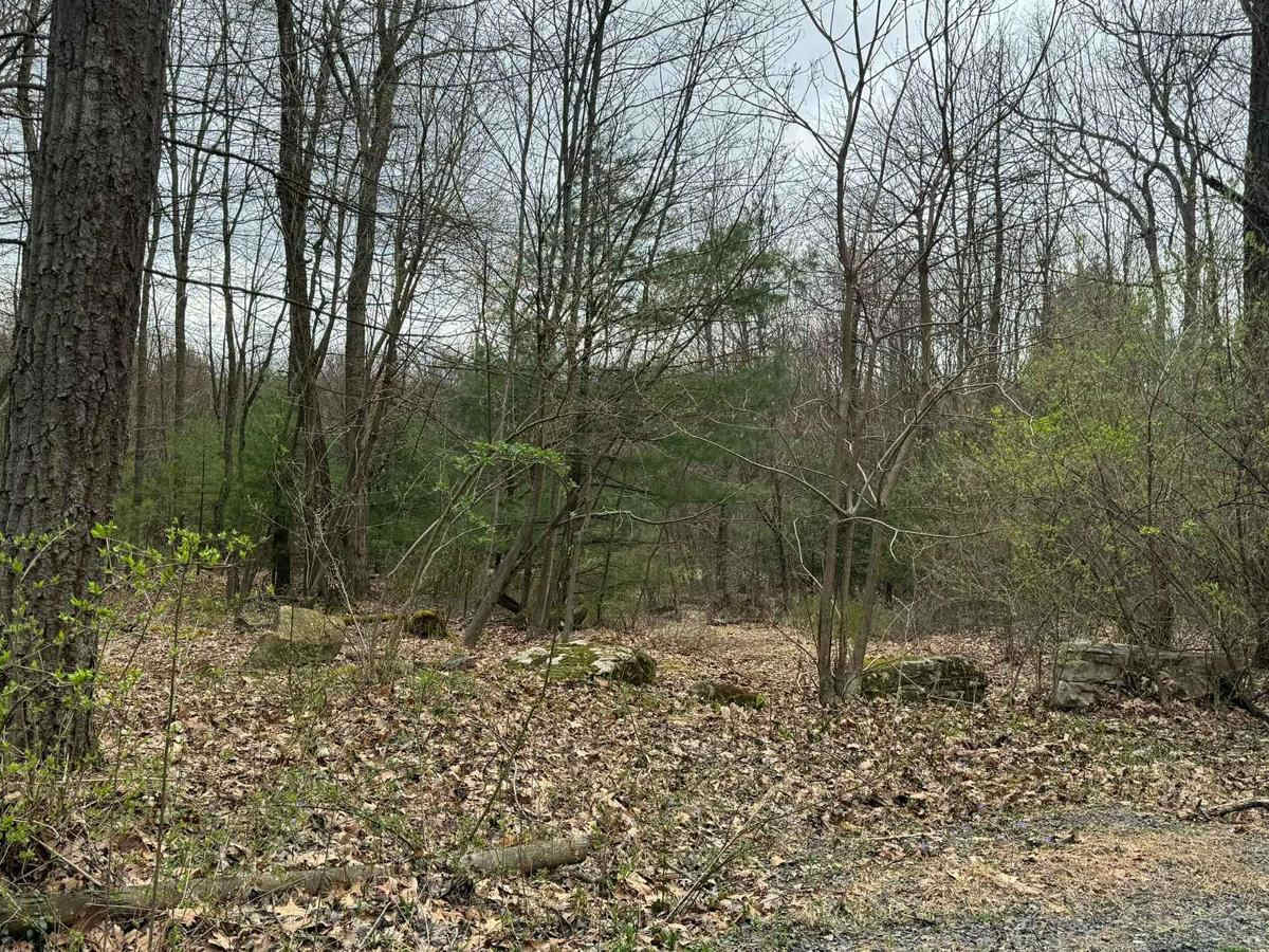 Kepler Road photo 6