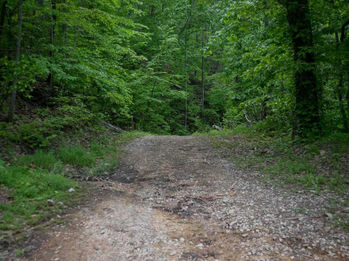 MV28 photo 5