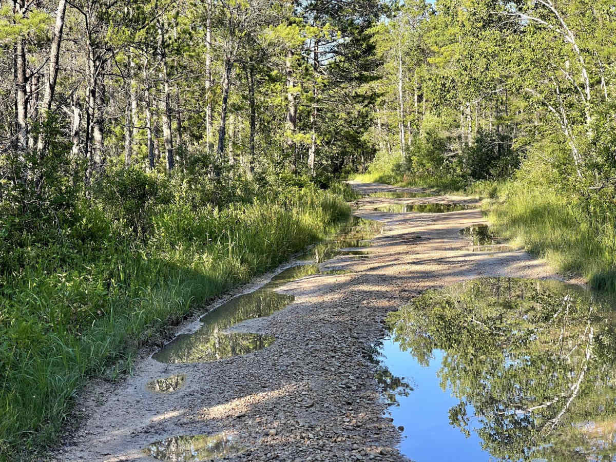 Hay Lake Road - FS 3413 photo 3