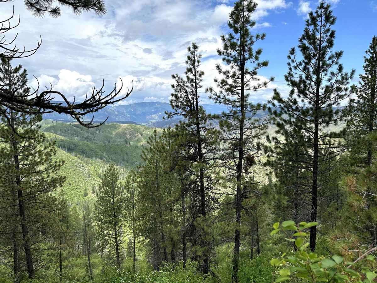 Grimes Pass Road photo 4