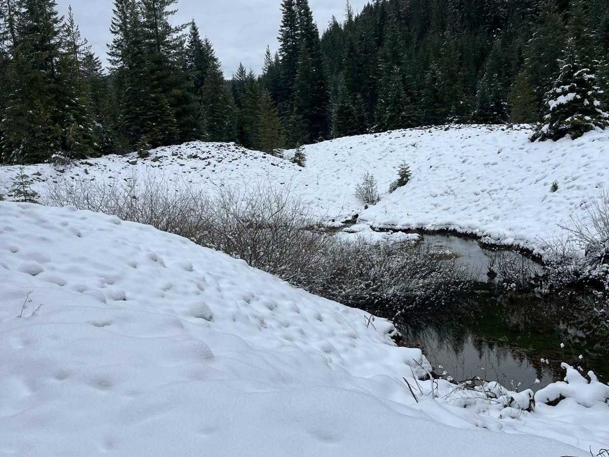 Forest Service 767 photo 5