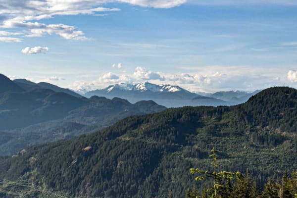 Mount Woodside