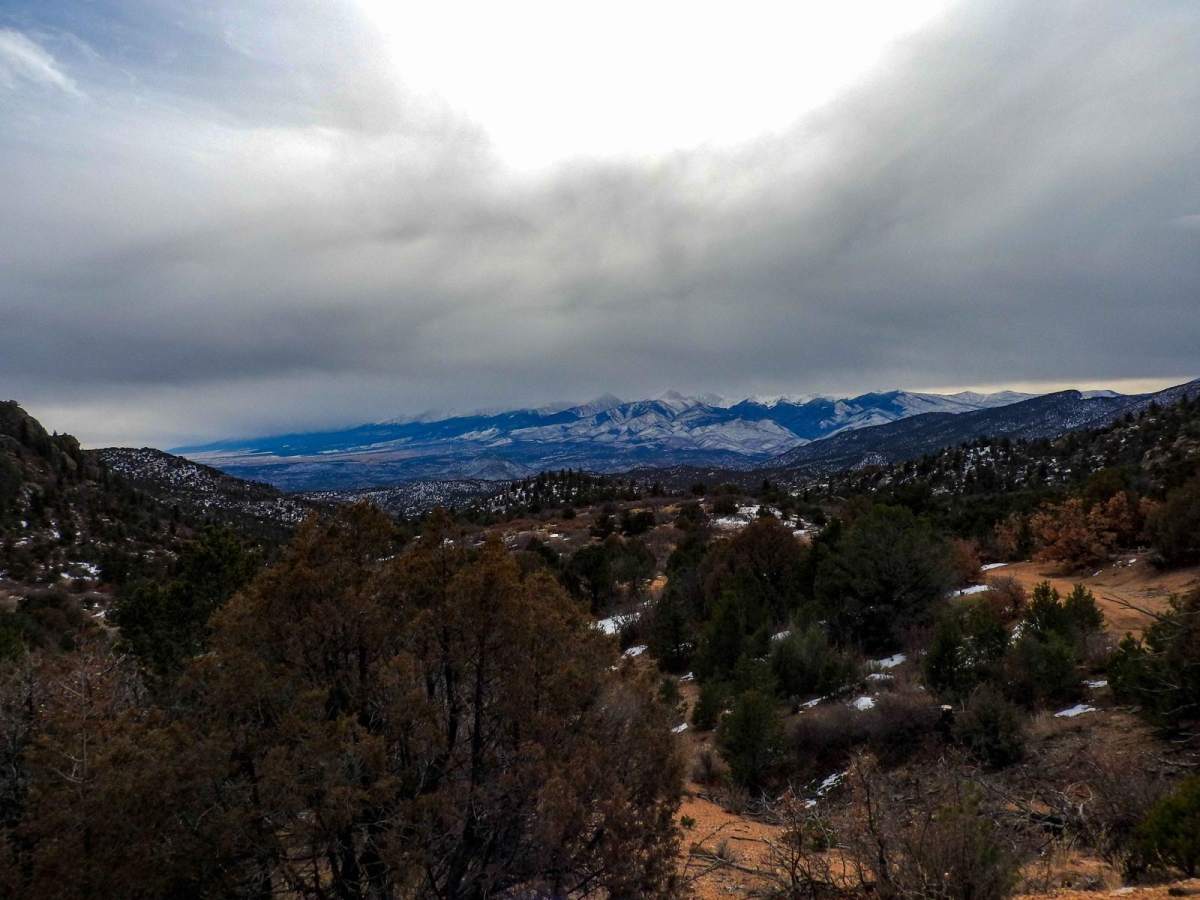 BLM 6045 photo 5