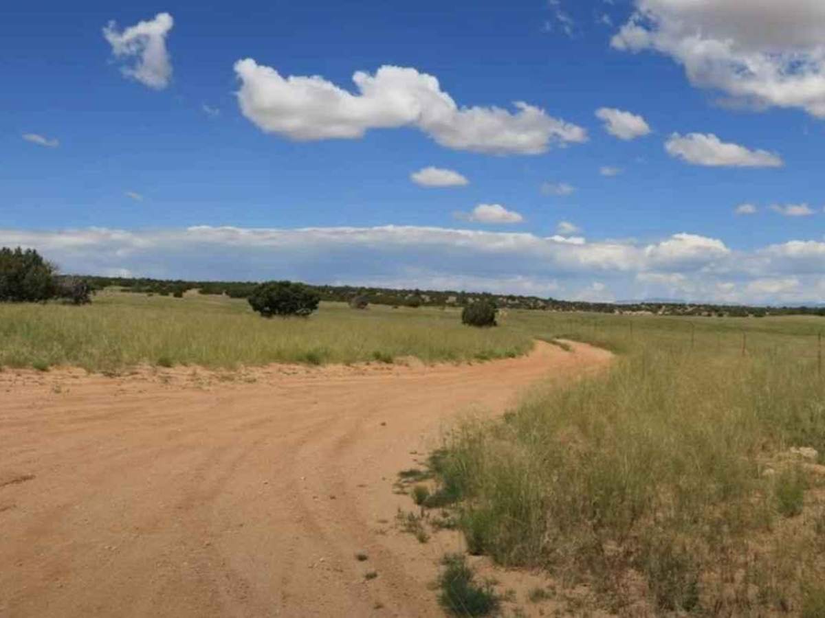 Wilberg Road - Prickly Pear Flat photo 2