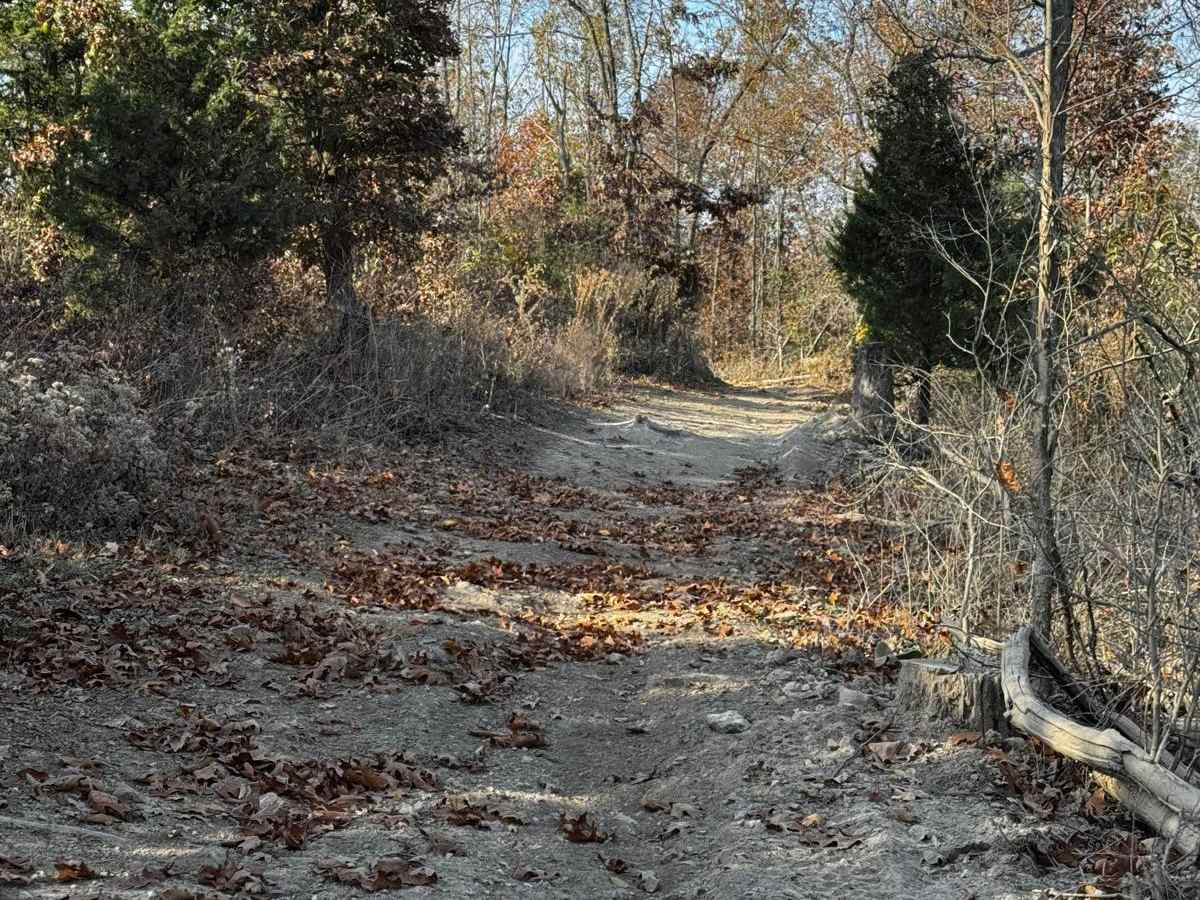 Deer Lick photo 3