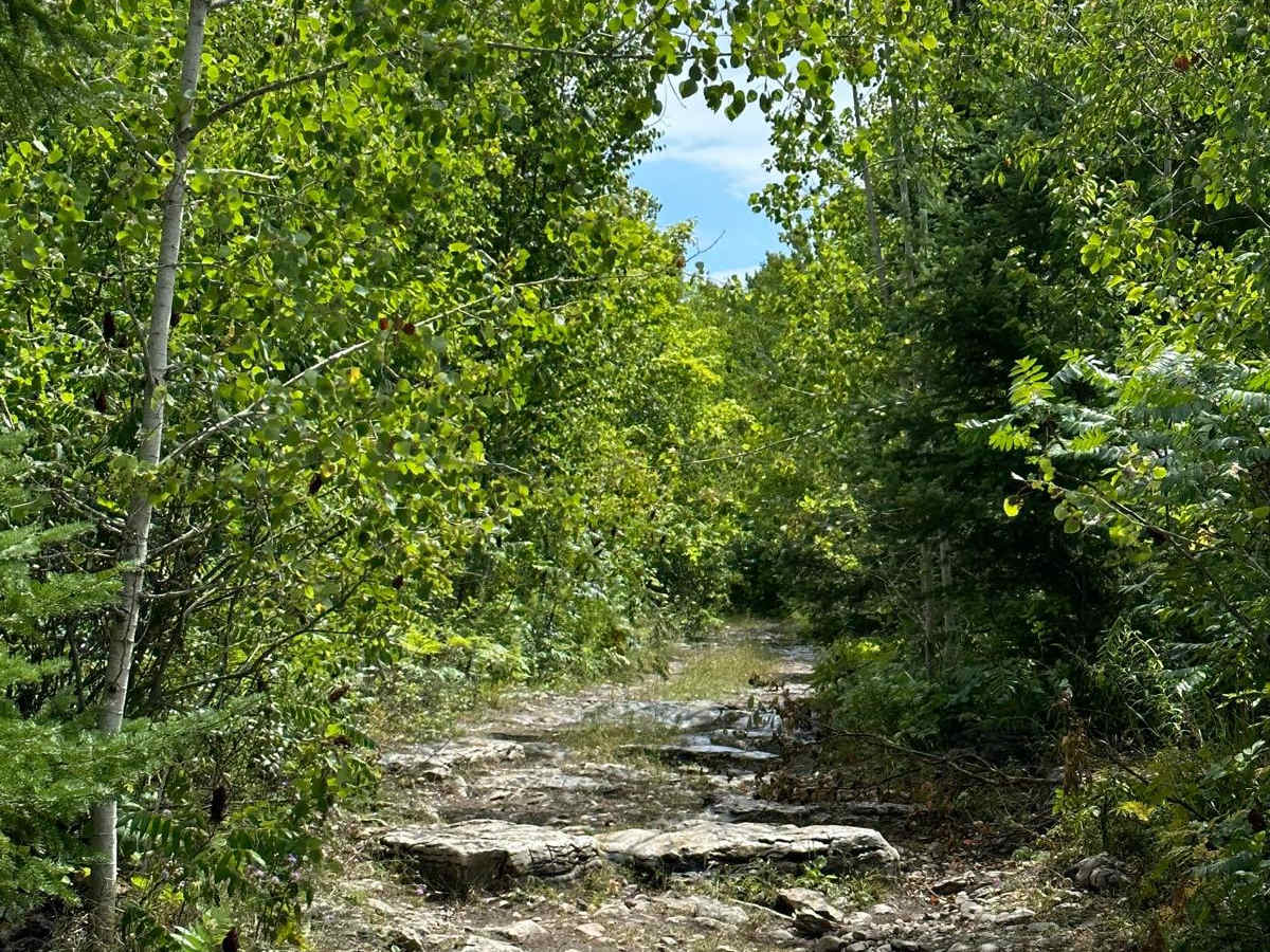 ORV Trail - 36282 trail photo