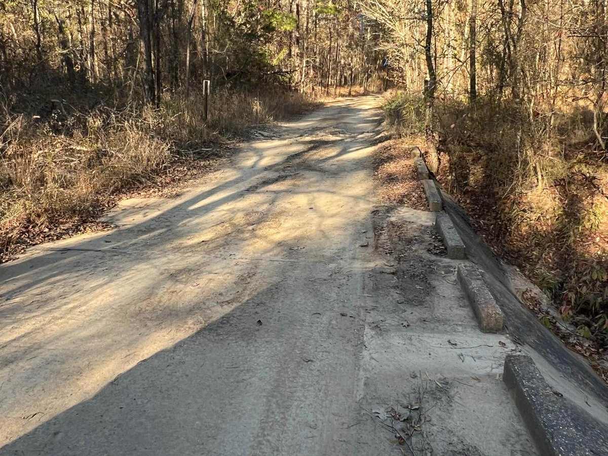 Morgan trail photo