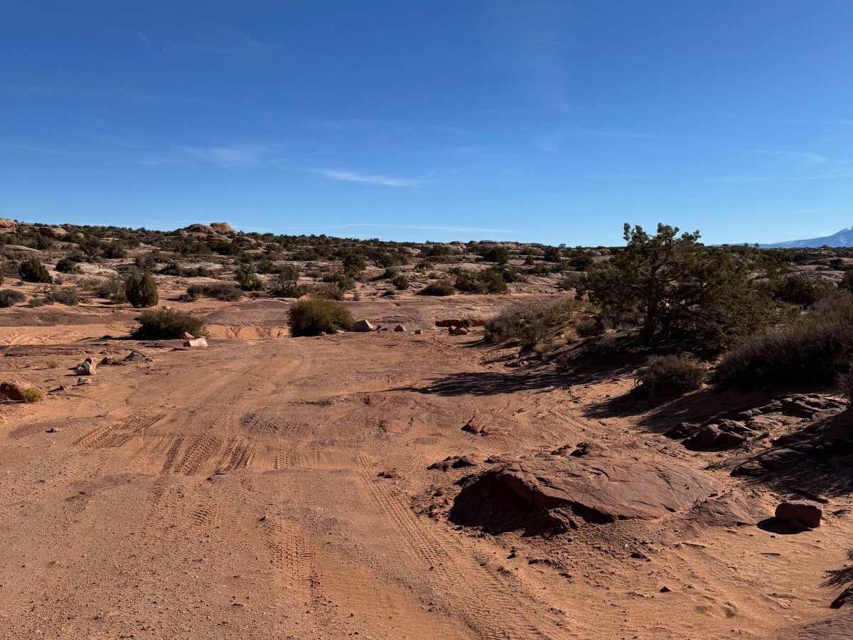 Willow Springs Trail and Dinosaur Tracks photo 3
