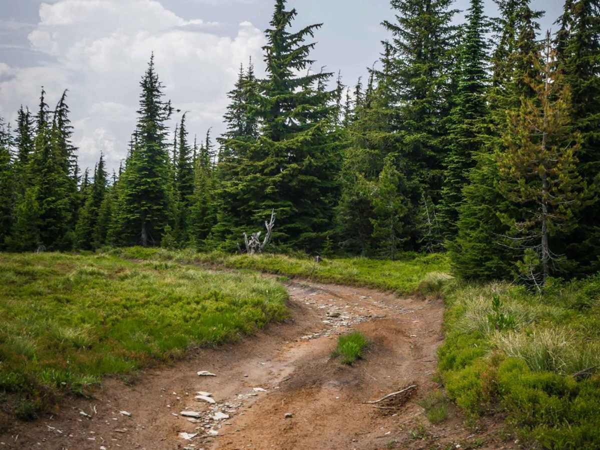 Big Dick trail photo
