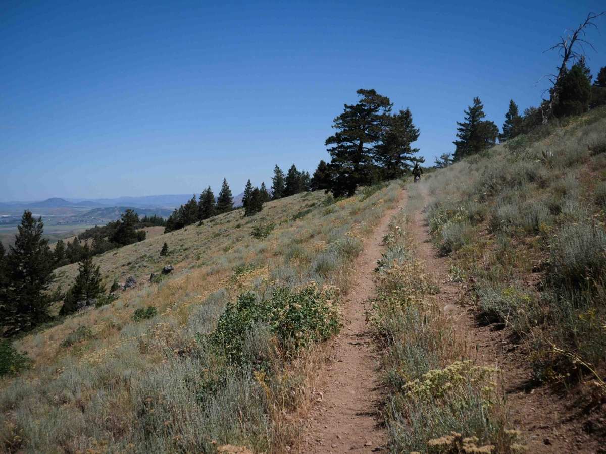 Trail Hollow #3368  photo 2