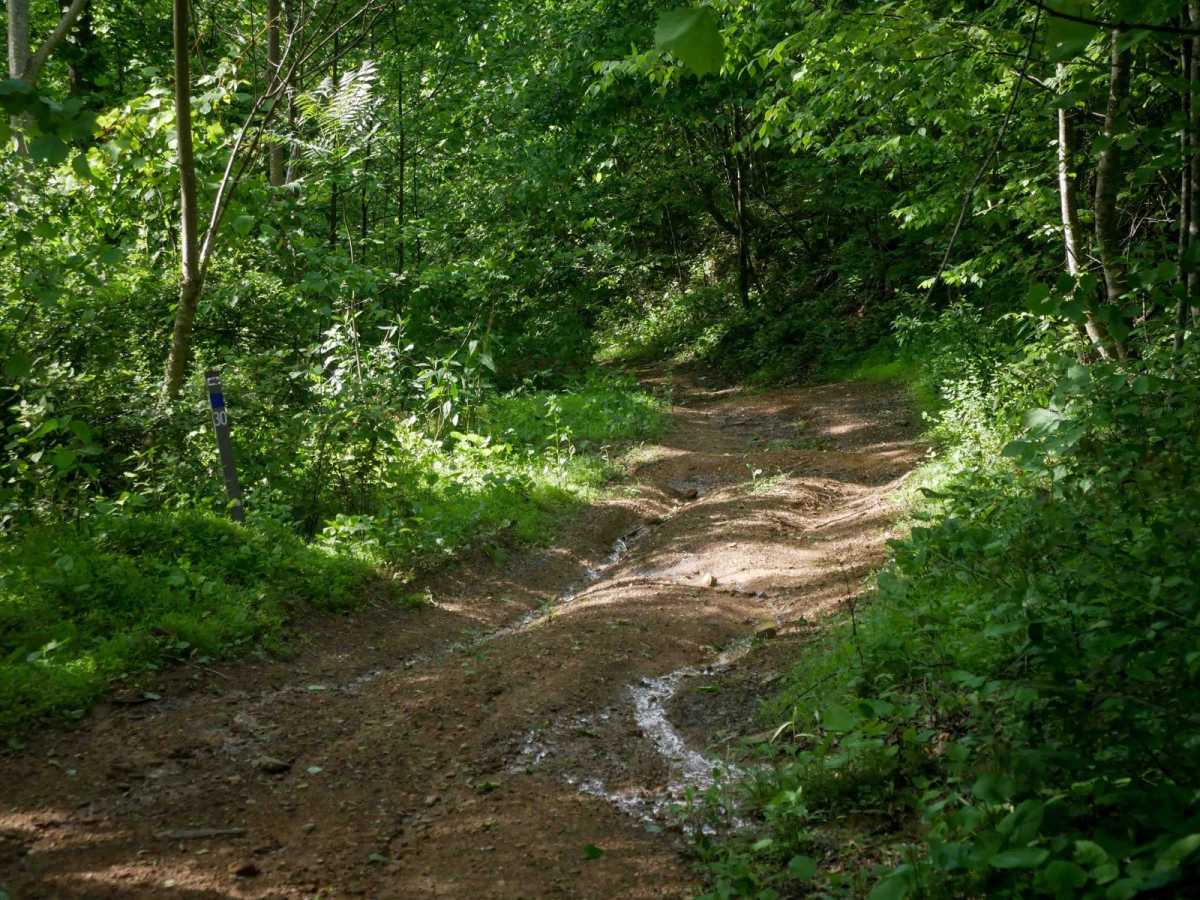 RV30 trail photo