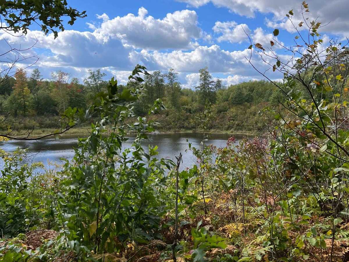 Foot Hills North Lake Loop photo 3