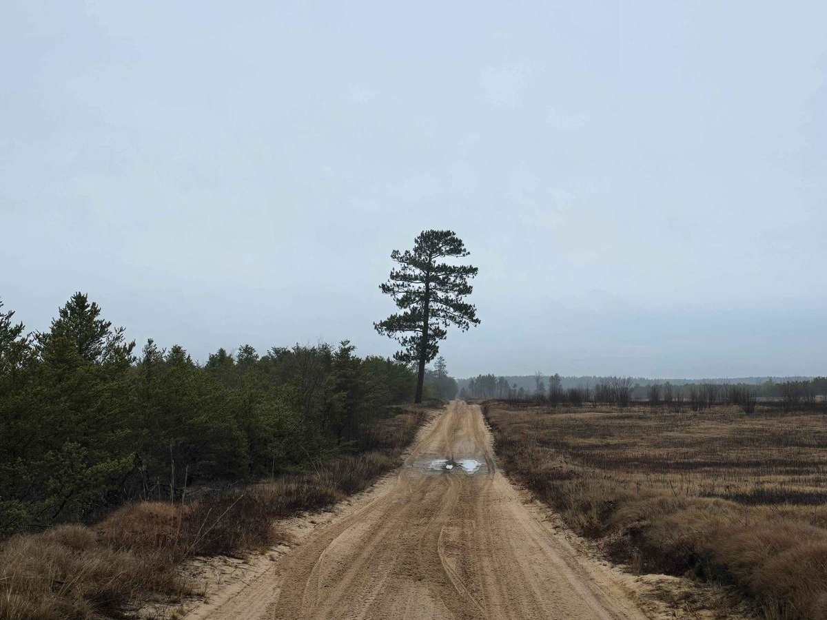 North Dow Road photo 4