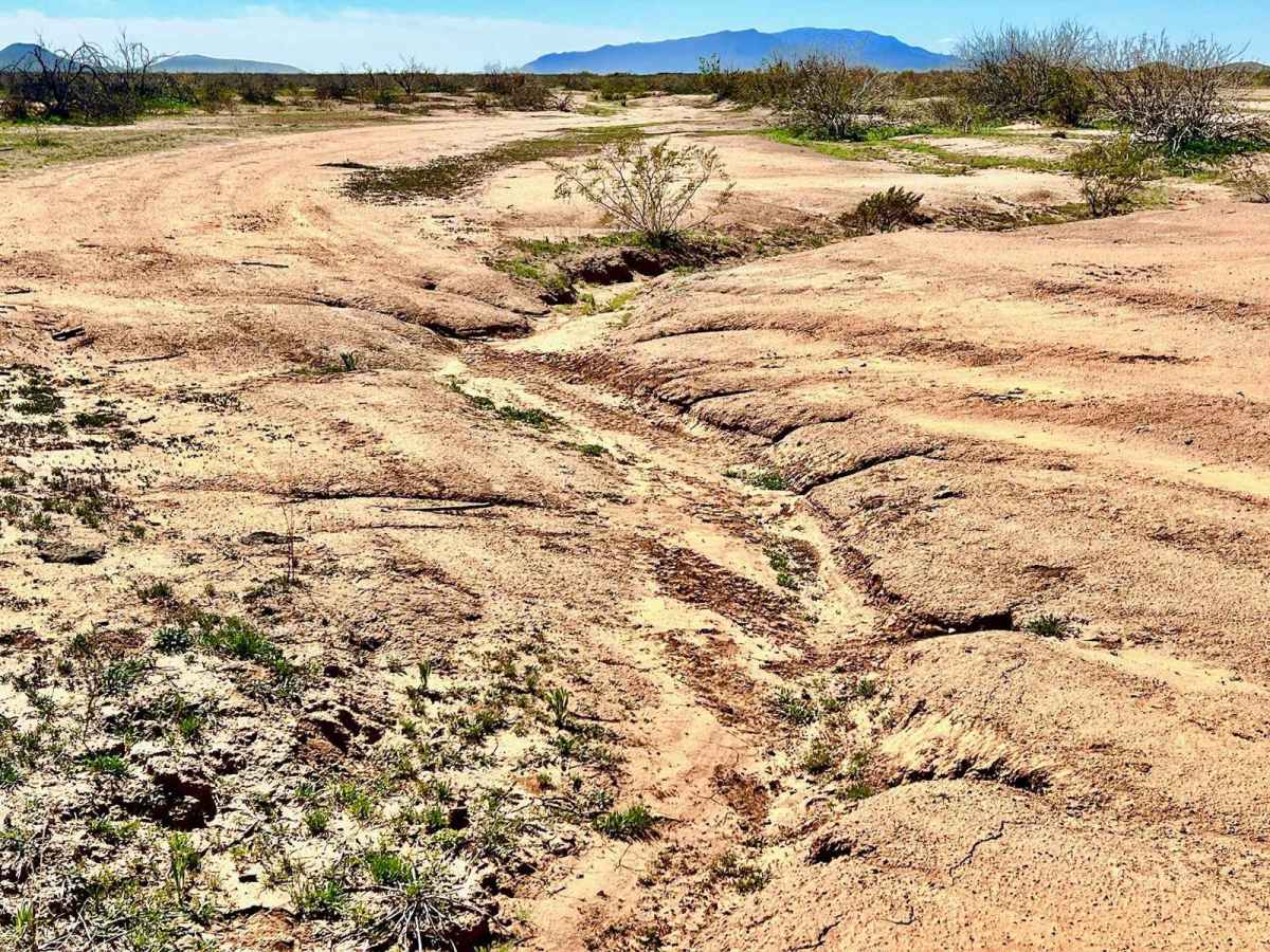 Cattle Tank to Washout 1 photo 6