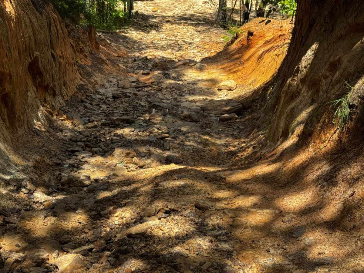 Louisiana Backroads (AKA Angry Jeep)  photo 6