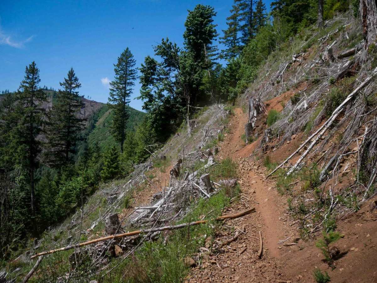 Jordan Creek #84 (Part 2) trail photo
