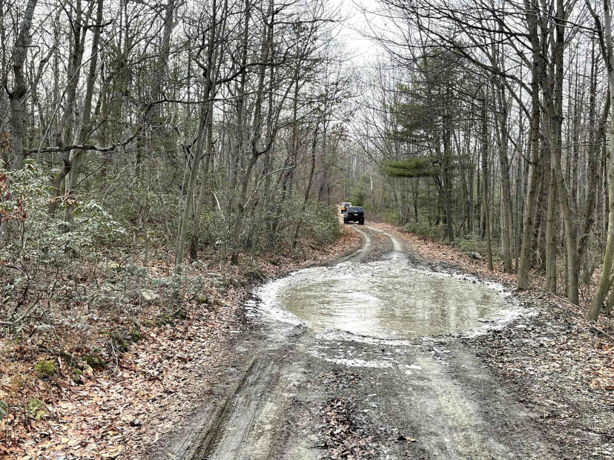 Henstep Valley Trail photo 2