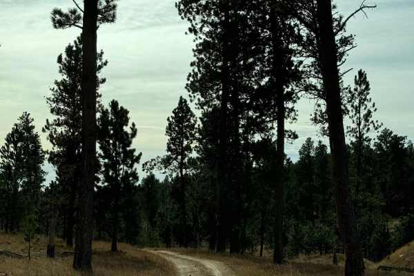 Hughes Draw & Horsethief Road