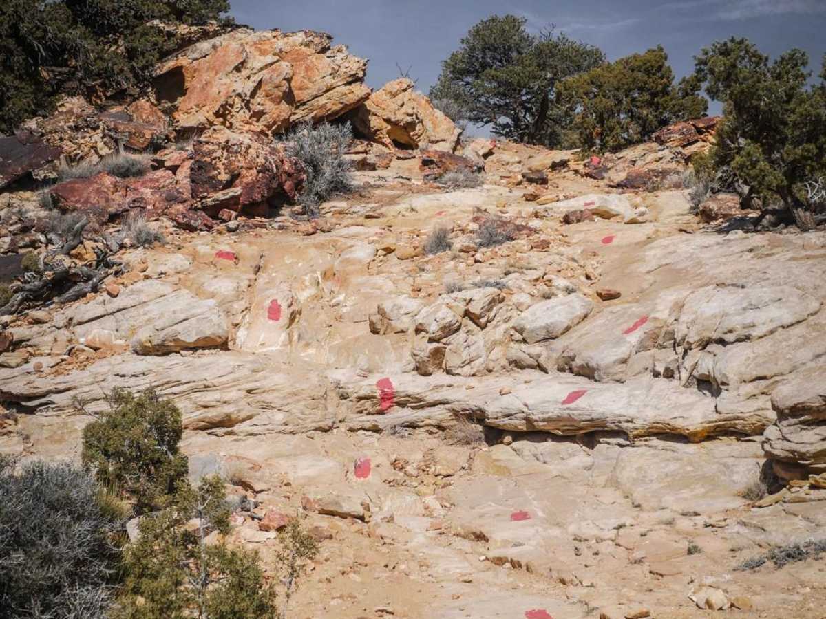 Red Trail trail photo