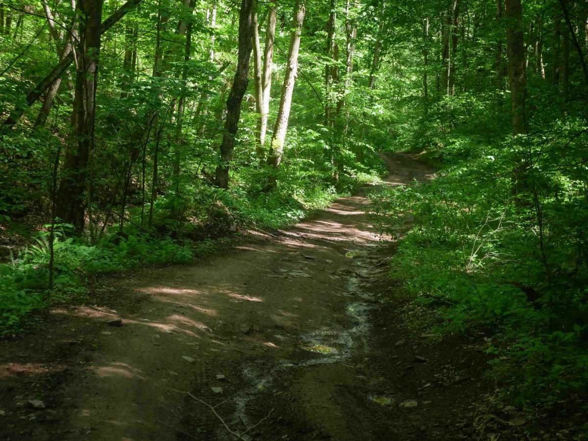 Trail 21 photo 6