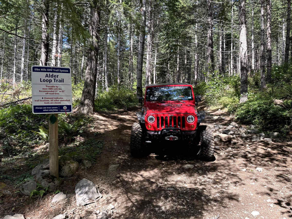 Alder Loop Trail trail photo