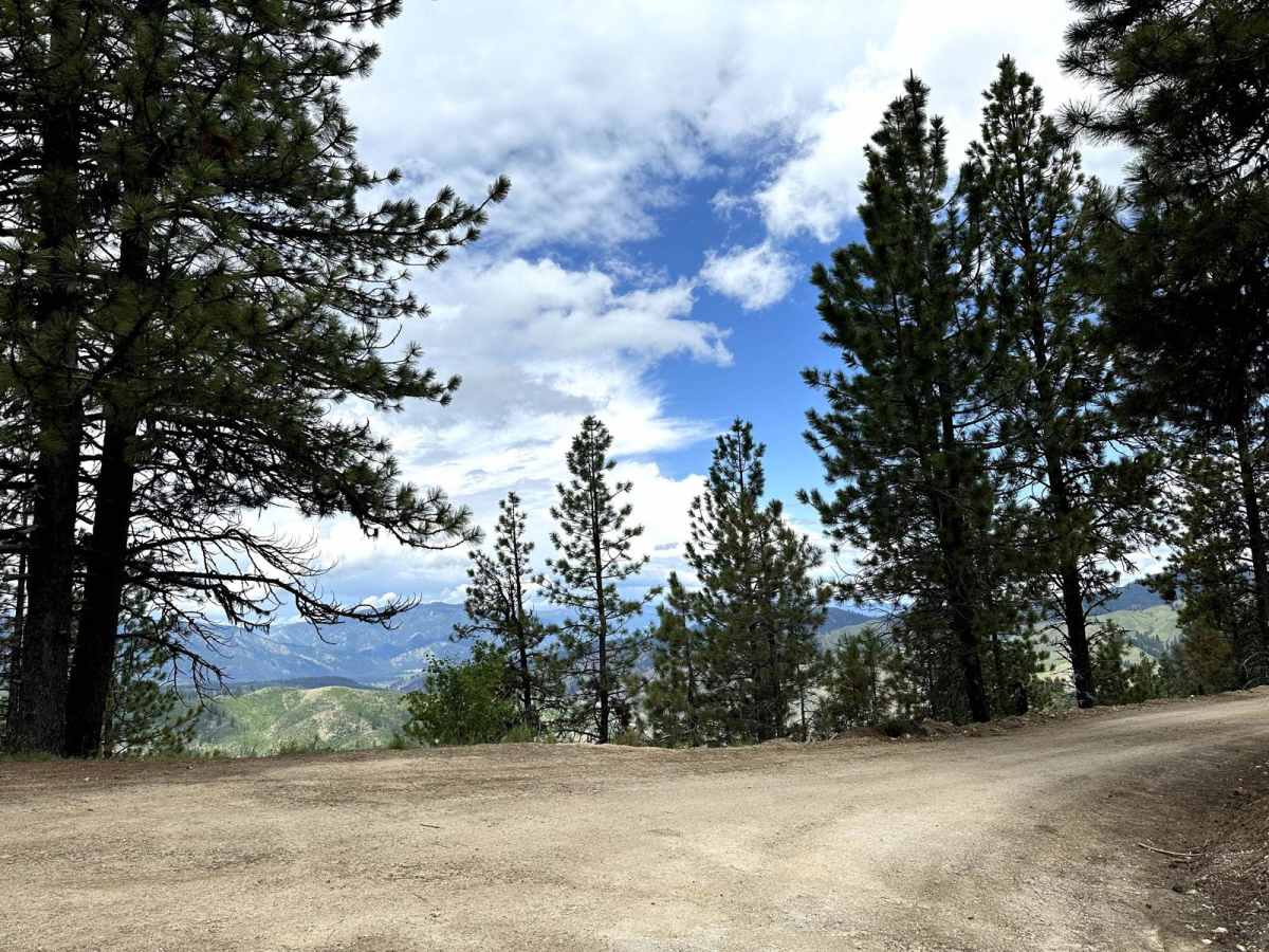 Grimes Pass Road trail photo