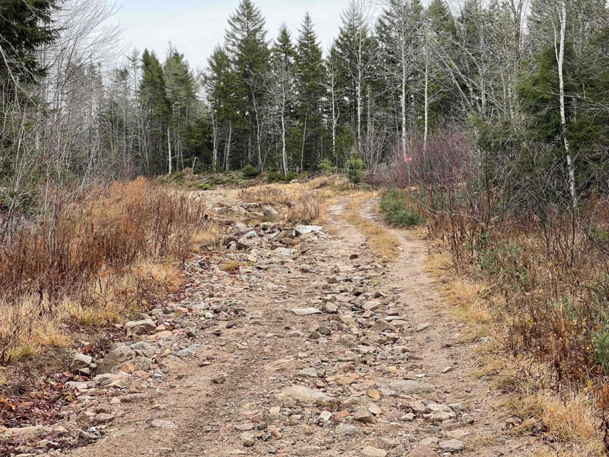 Shady Lake Trail photo 3