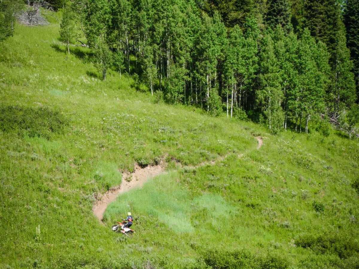 Independence Creek photo 5
