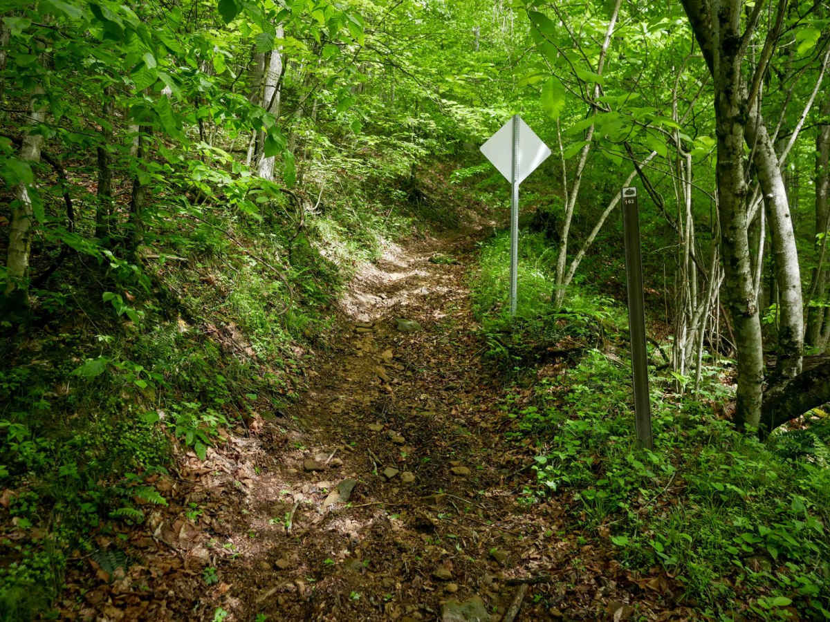 IB 163 trail photo