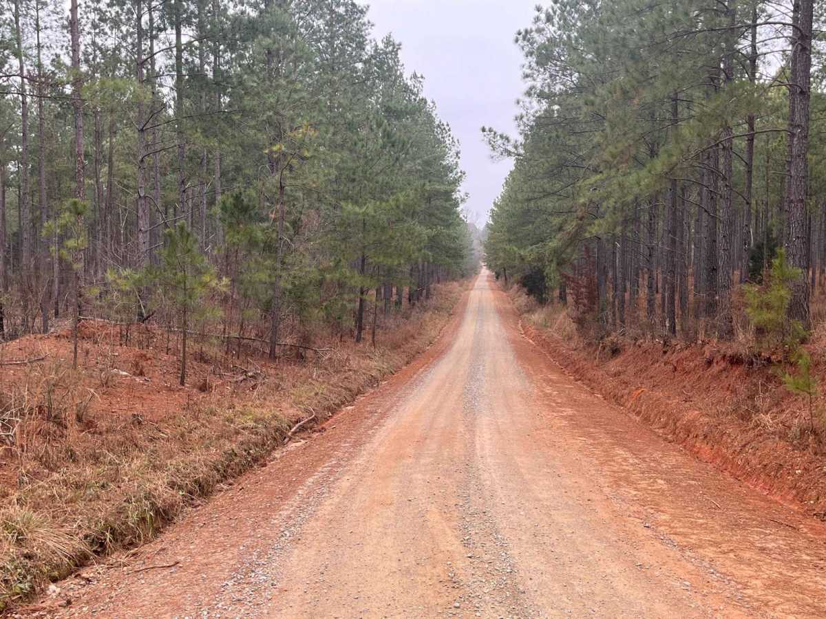 Old Charleston Road photo 3