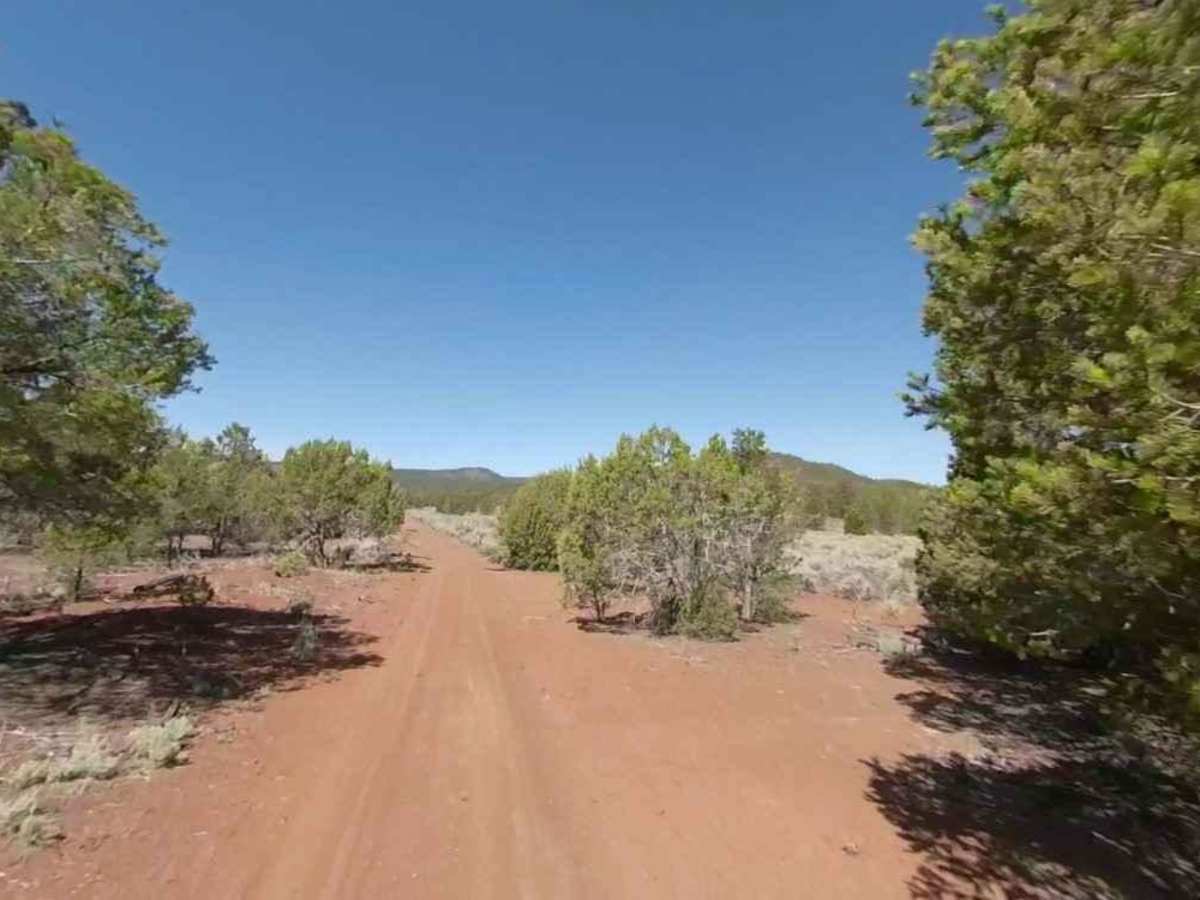 Slide Mountain Road BLM 1030 photo 4