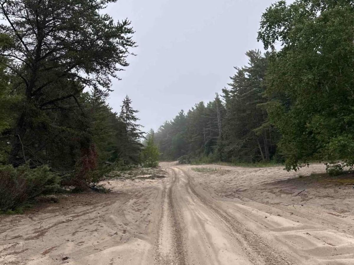 Dunes photo 6