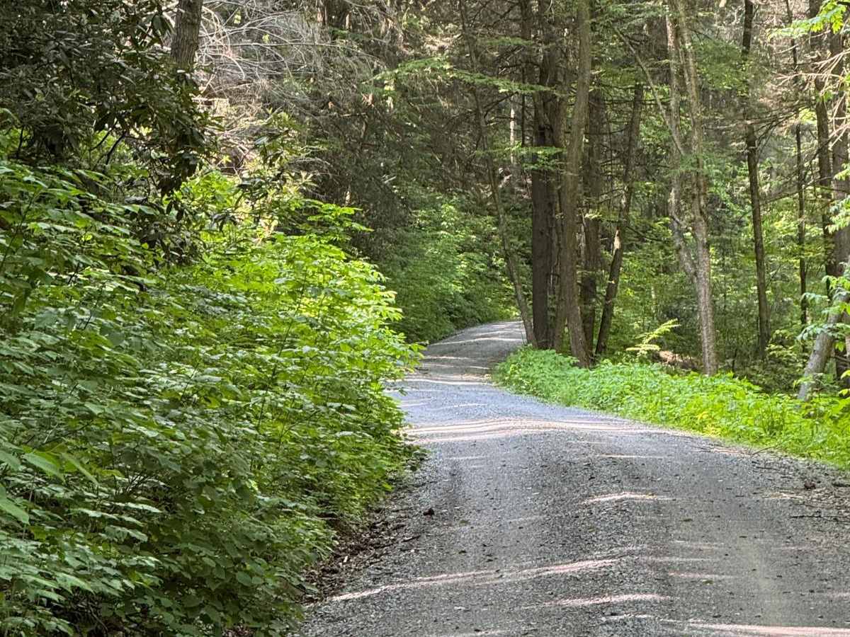 Abes Fork Road photo 4