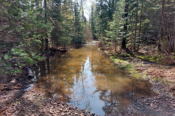 Horseshoe Harbor Road