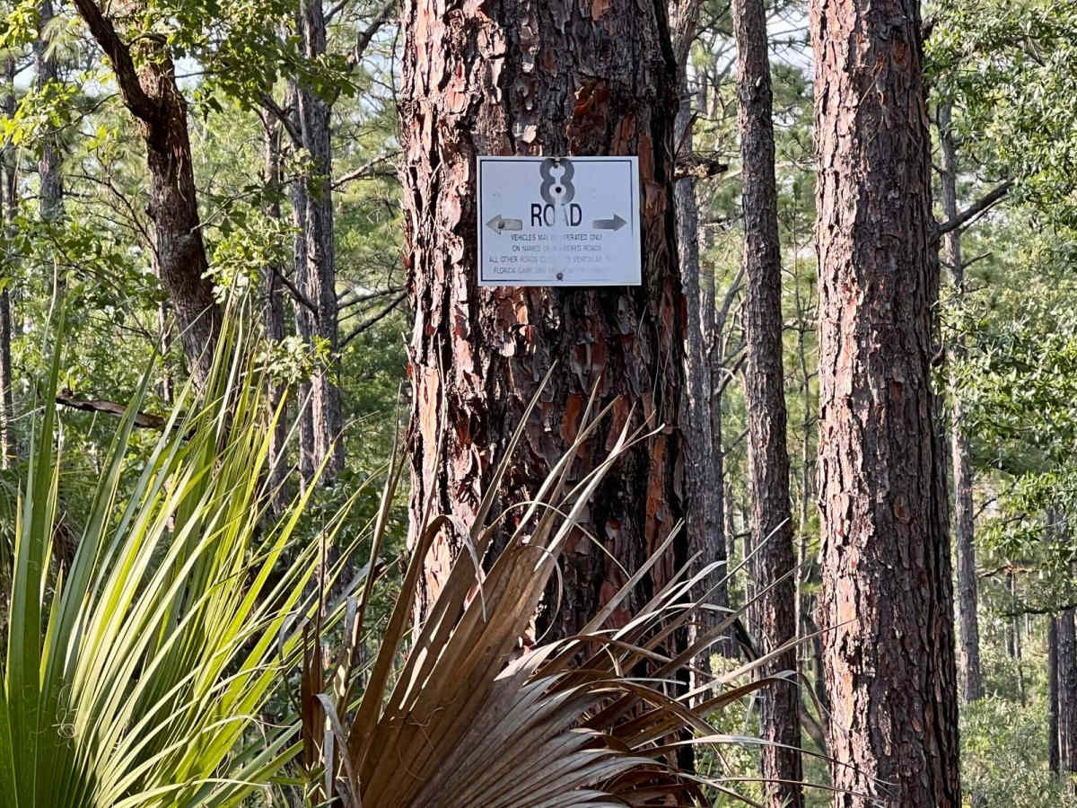 Citrus Wildlife Management | Trail 8 trail photo