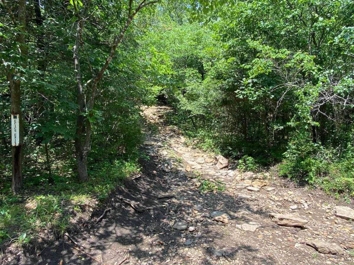 Eric's Exit trail photo