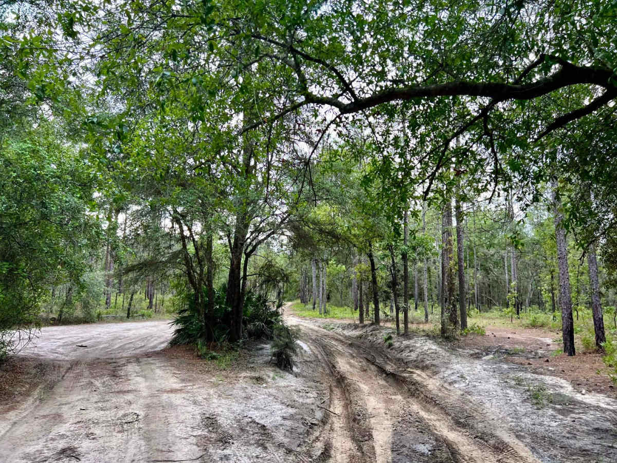 Crooms Wildlife Management | Trail 7 photo 6
