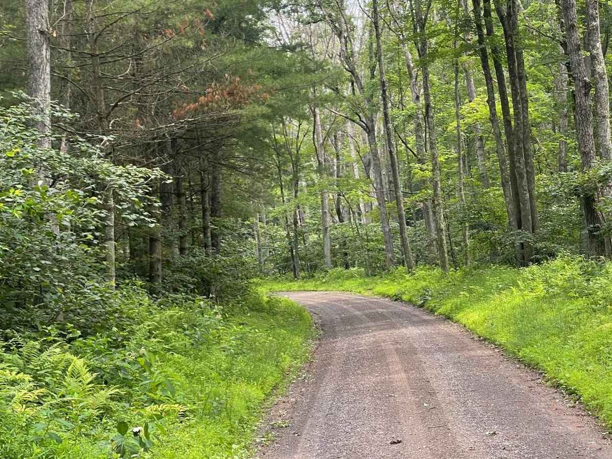 Sand Spring Road photo 4