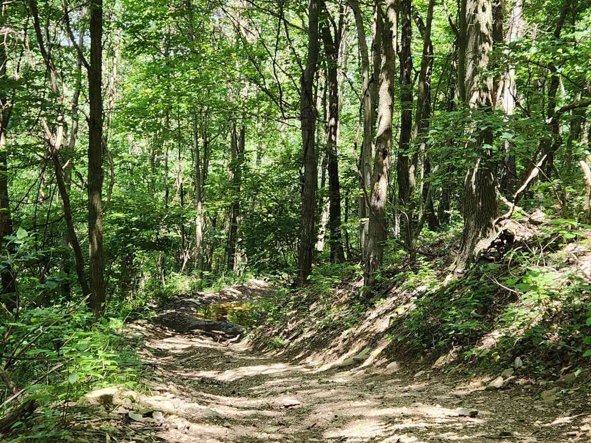 Trail 2E - Rock Run Recreation photo 4
