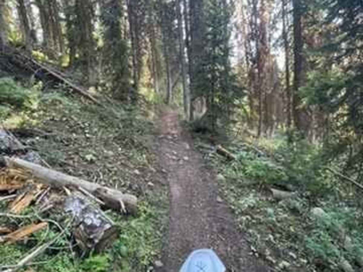 Crestline trail - Bell Marsh Creek photo 6