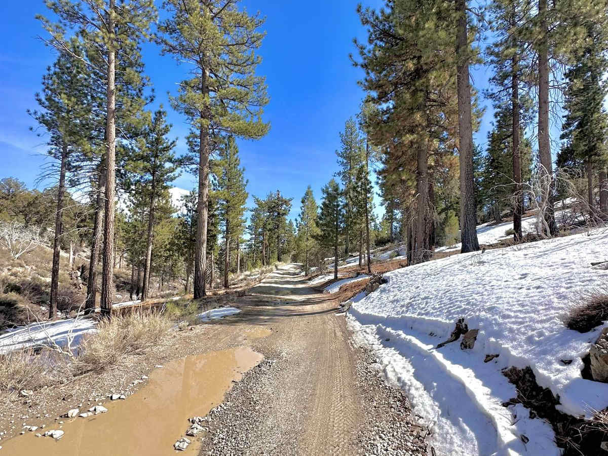 Holcomb Valley - 3N16 photo 3