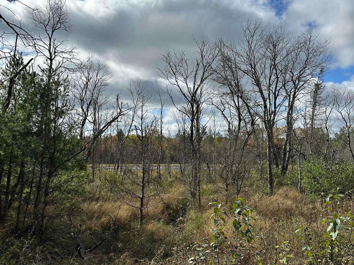 Neighbor Lake - FS 2791 photo 4
