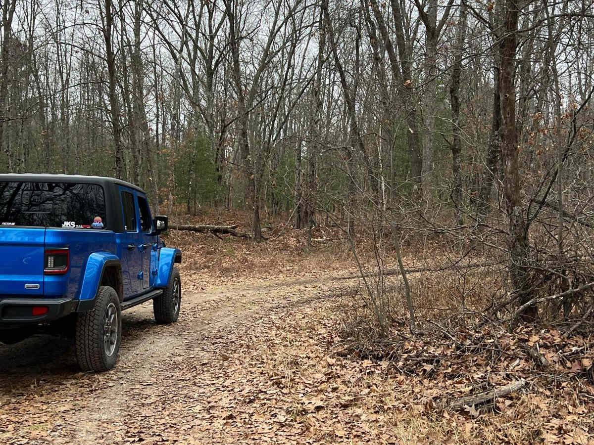 NFS 9704 trail photo