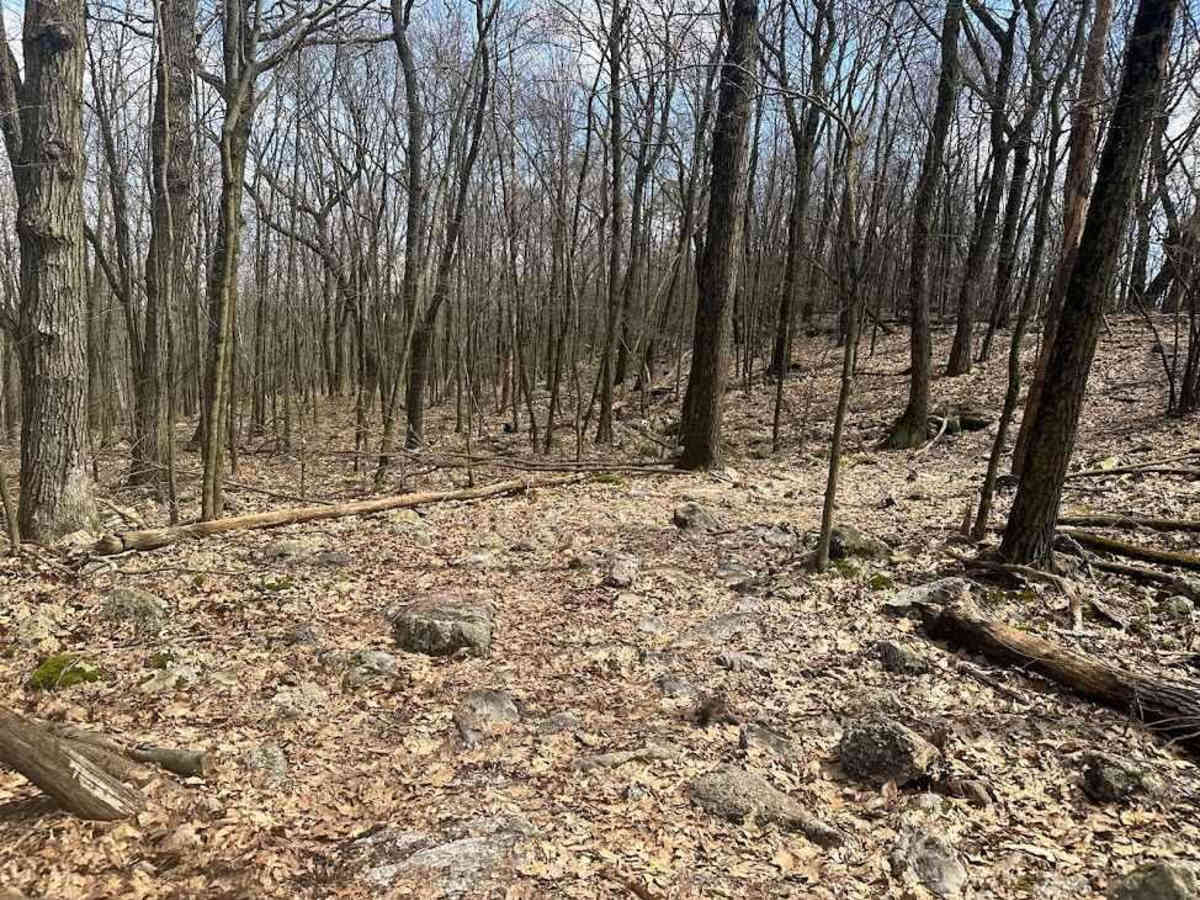 Ashland 179 photo 2