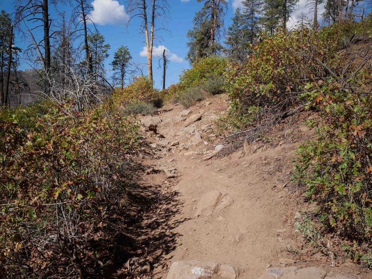 Jones Creek photo 4