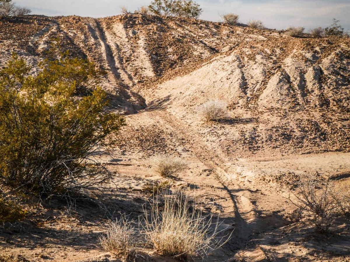 Andy Tk2 trail photo