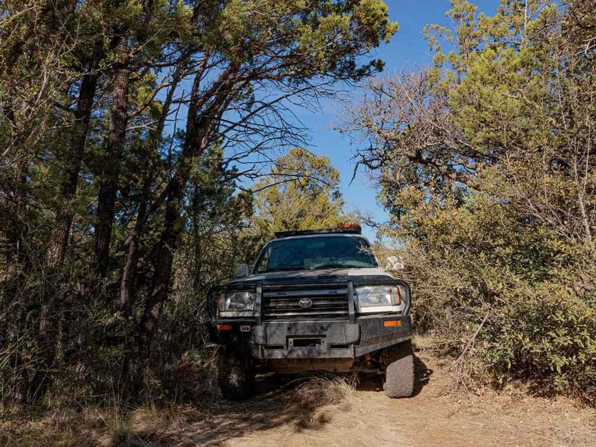 Meadow Creek Road-FS 149 photo 4