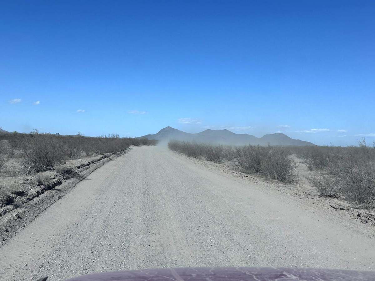 El Camino Del Diablo (Organ Pipe Cactus) photo 2